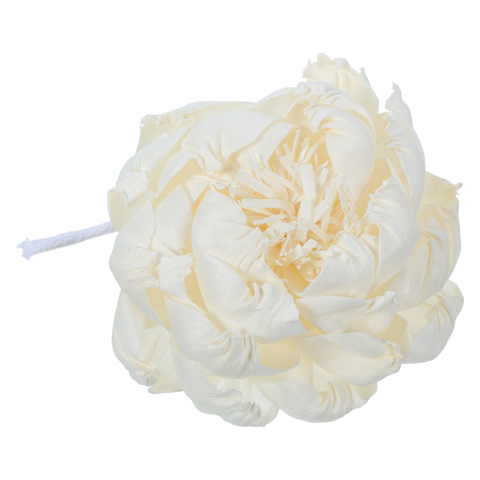Peony Head Fragrance Diffuser  - Home Fragrance Flowers 评论和价格