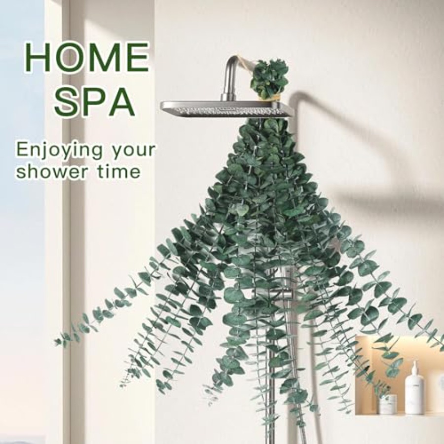 Dried Eucalyptus Stems for Sho - Home Fragrance Eucalyptus 评论和价格
