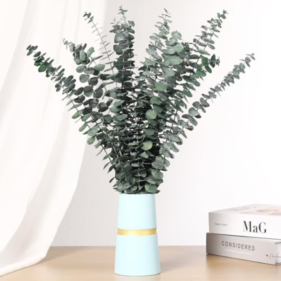 Dried Eucalyptus Stems for Sho - Home Fragrance Eucalyptus 评论和价格