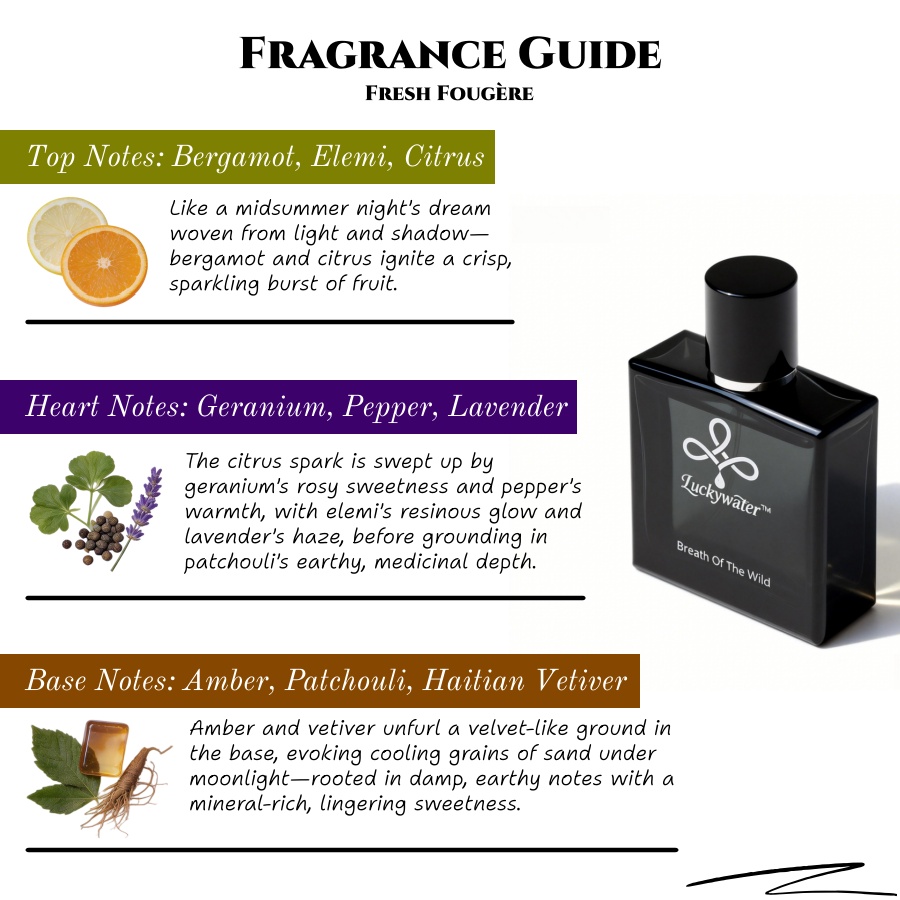 50ml Long-Lasting Cologne for  - Home Fragrance Business 评论和价格