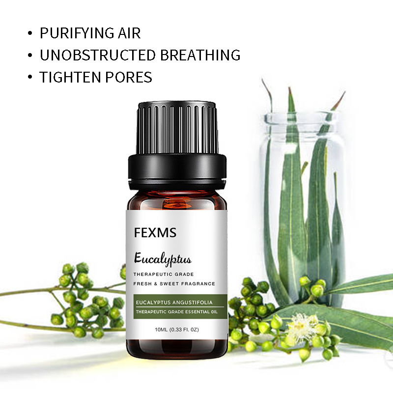 Eucalyptus Essential Oil (100% - Home Fragrance Eucalyptus 评论和价格