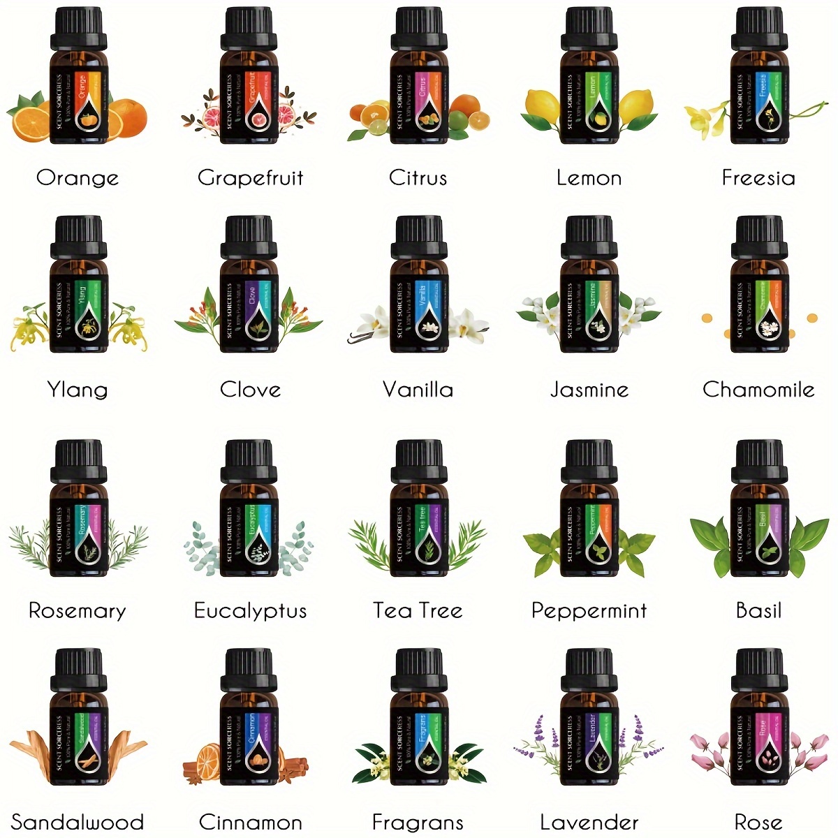 20Pcs/Set Classic Brand Essent - Home Fragrance Eucalyptus 评论和价格