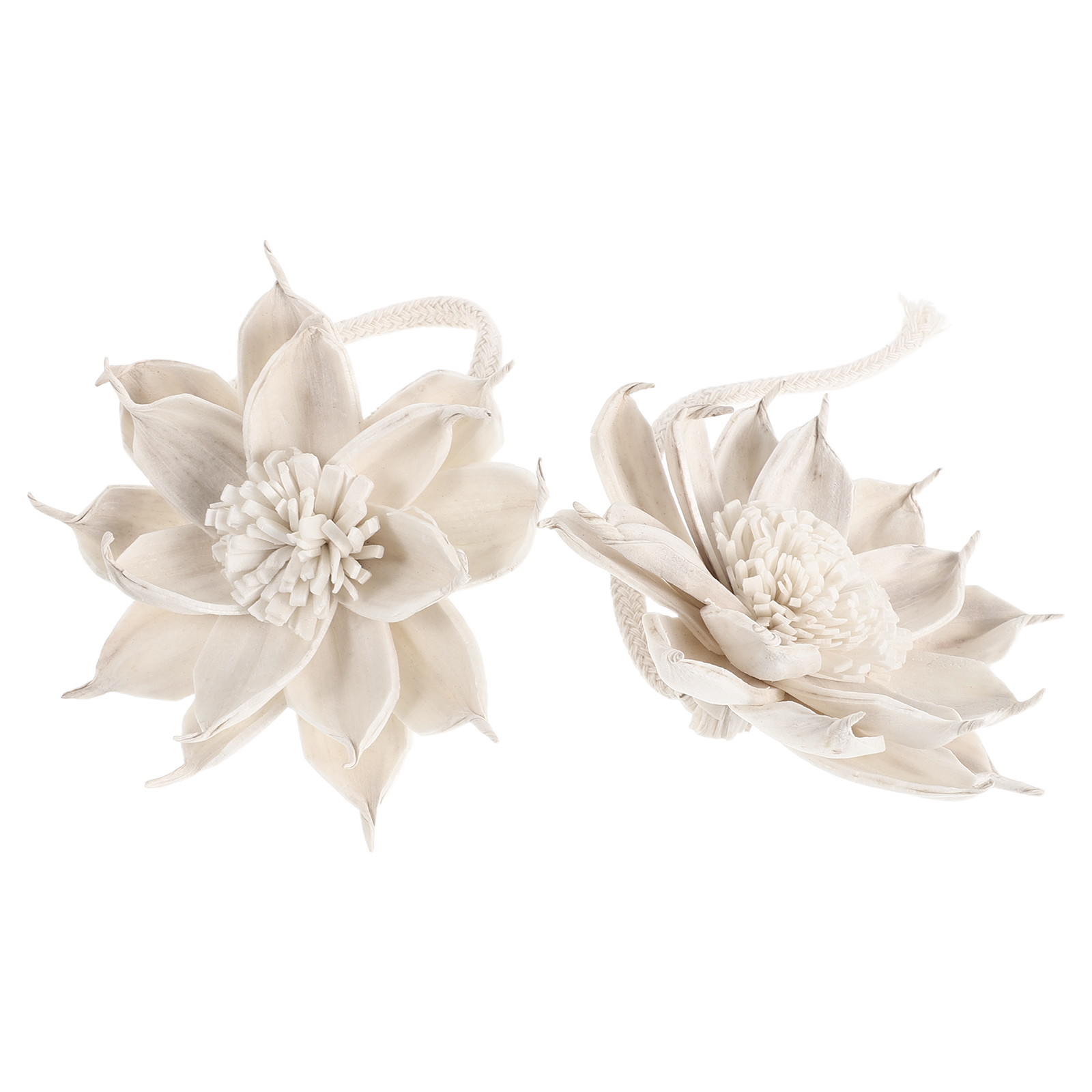 2Pcs Floral Aroma Diffuser Sti - Home Fragrance London 评论和价格
