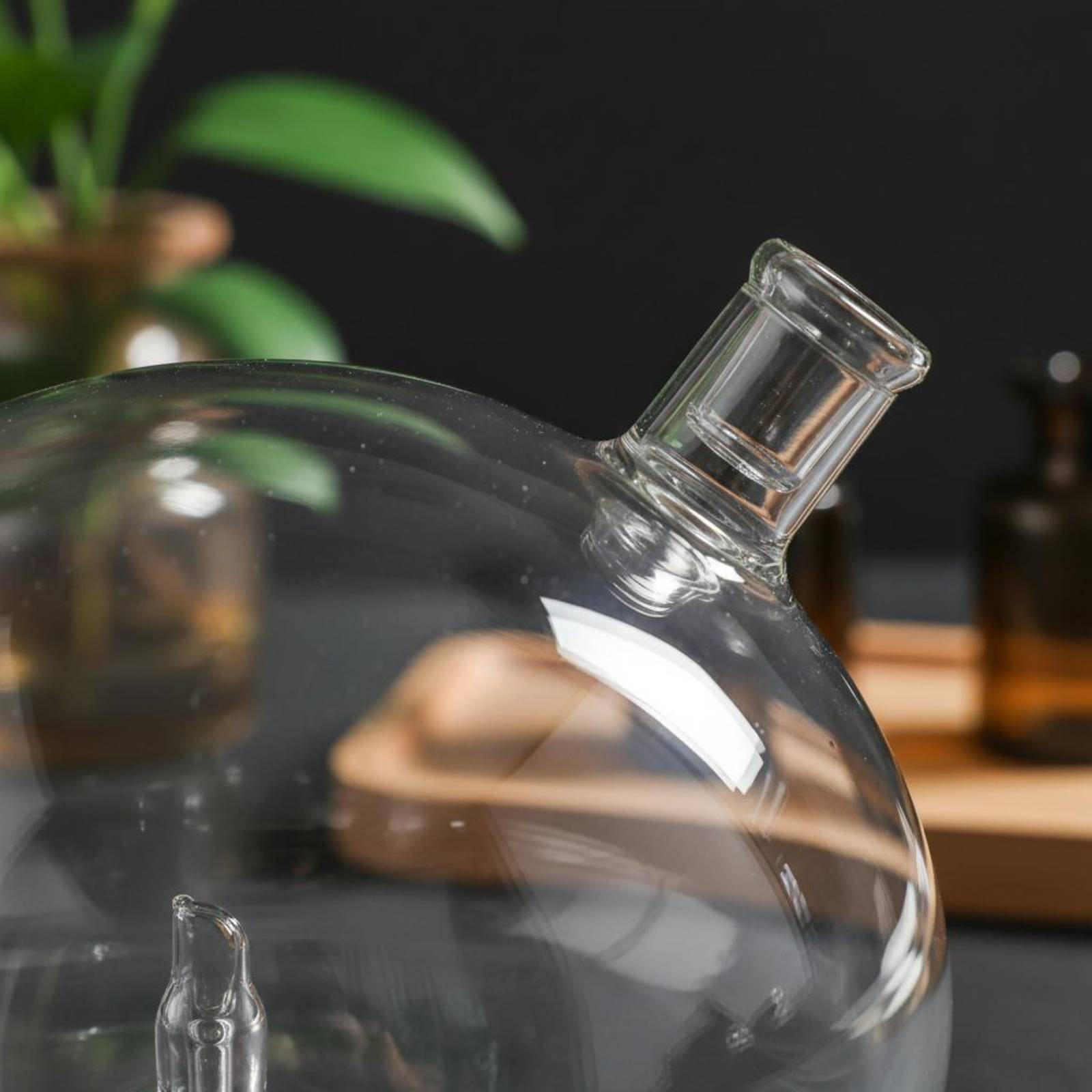 Diffuser Bottle Universal Fit  - Home Fragrance Essence 评论和价格